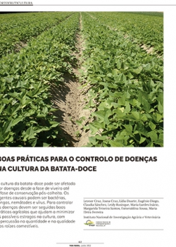Boas práticas para o controlo de doenças na cultura da batata-doce