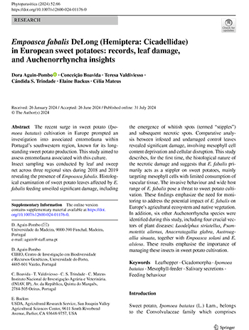 Empoasca fabalis DeLong (Hemiptera: Cicadellidae) in European sweet potatoes: records, leaf damage, and Auchenorrhyncha insights