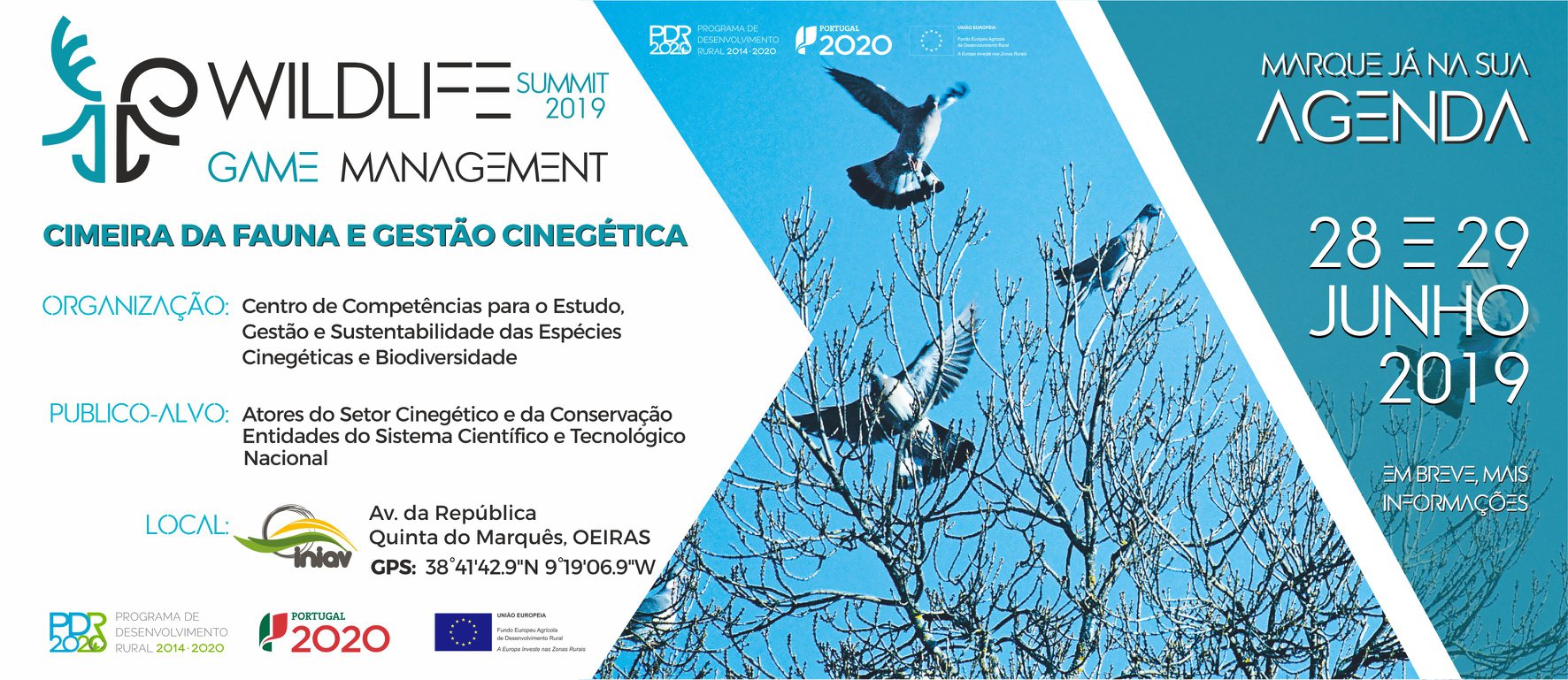 Participação do Grupo de Trabalho +Coelho na Cimeira da Fauna e Gestão Cinegética, Oeiras, 28 a 29 de junho.