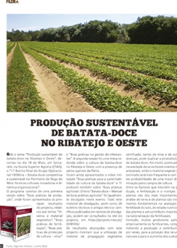 Produção sustentável de batata-doce no Ribatejo e Oeste. Frutas, legumes e flores