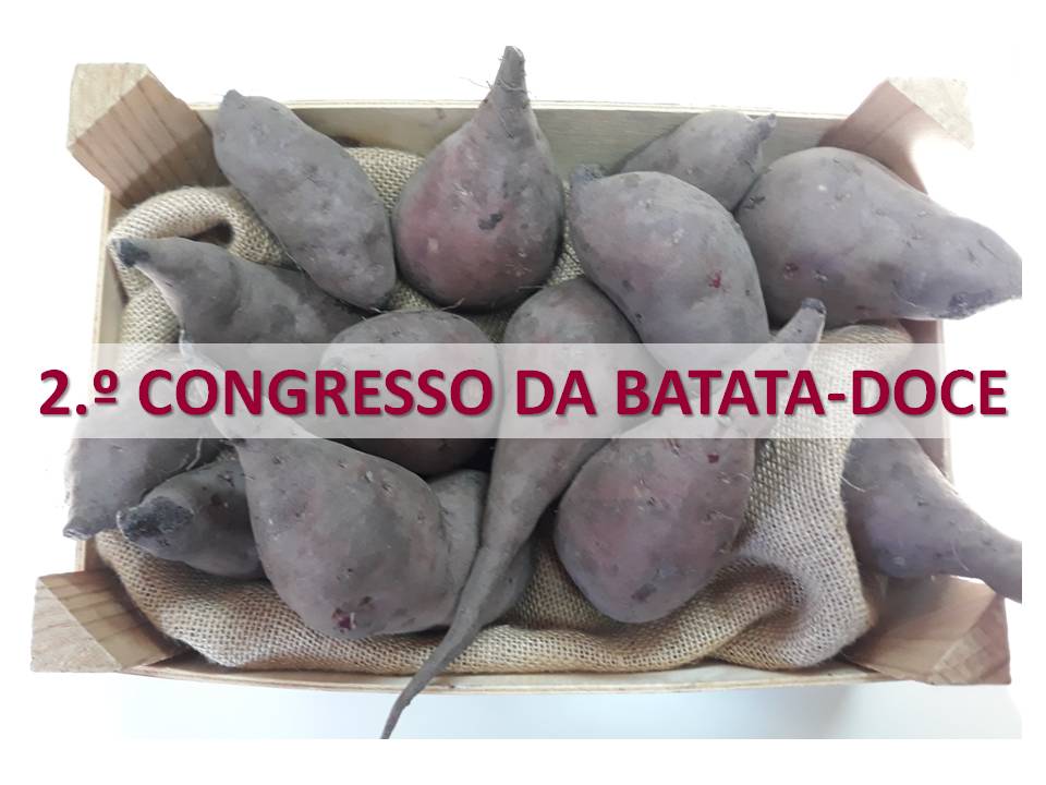 2º CONGRESSO DA BATATA-DOCE