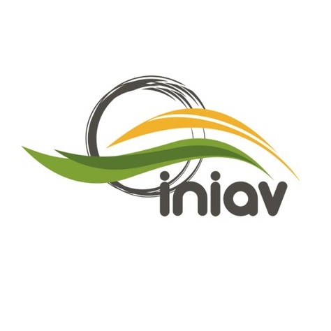 INIAV logo