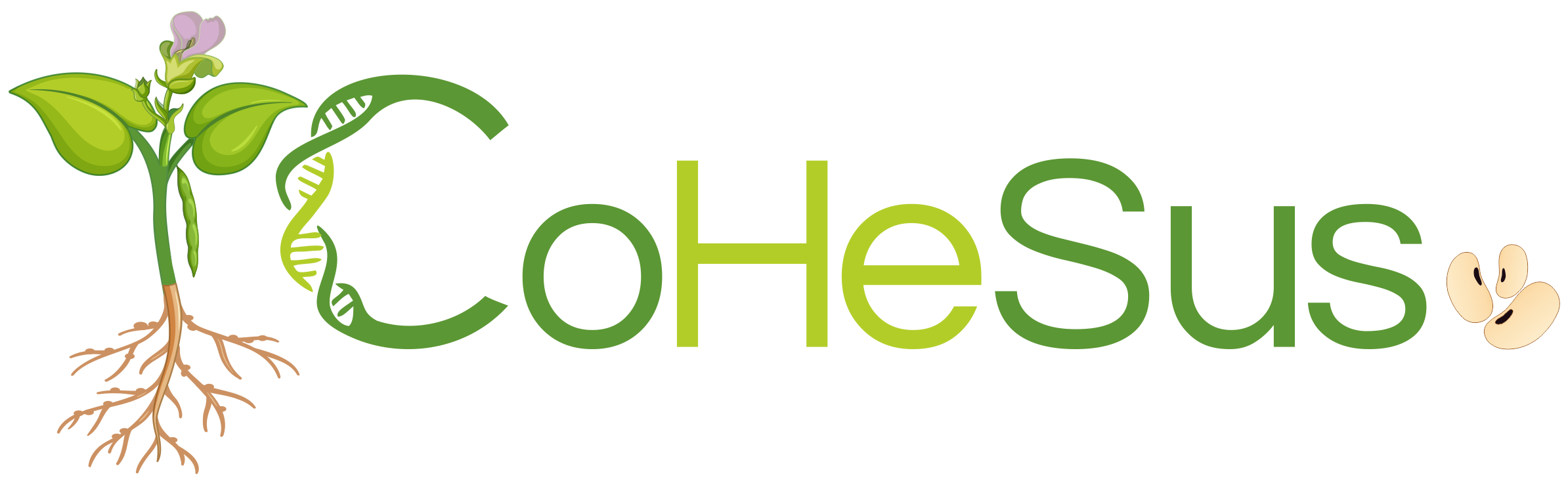 logo CoHeSus transparente