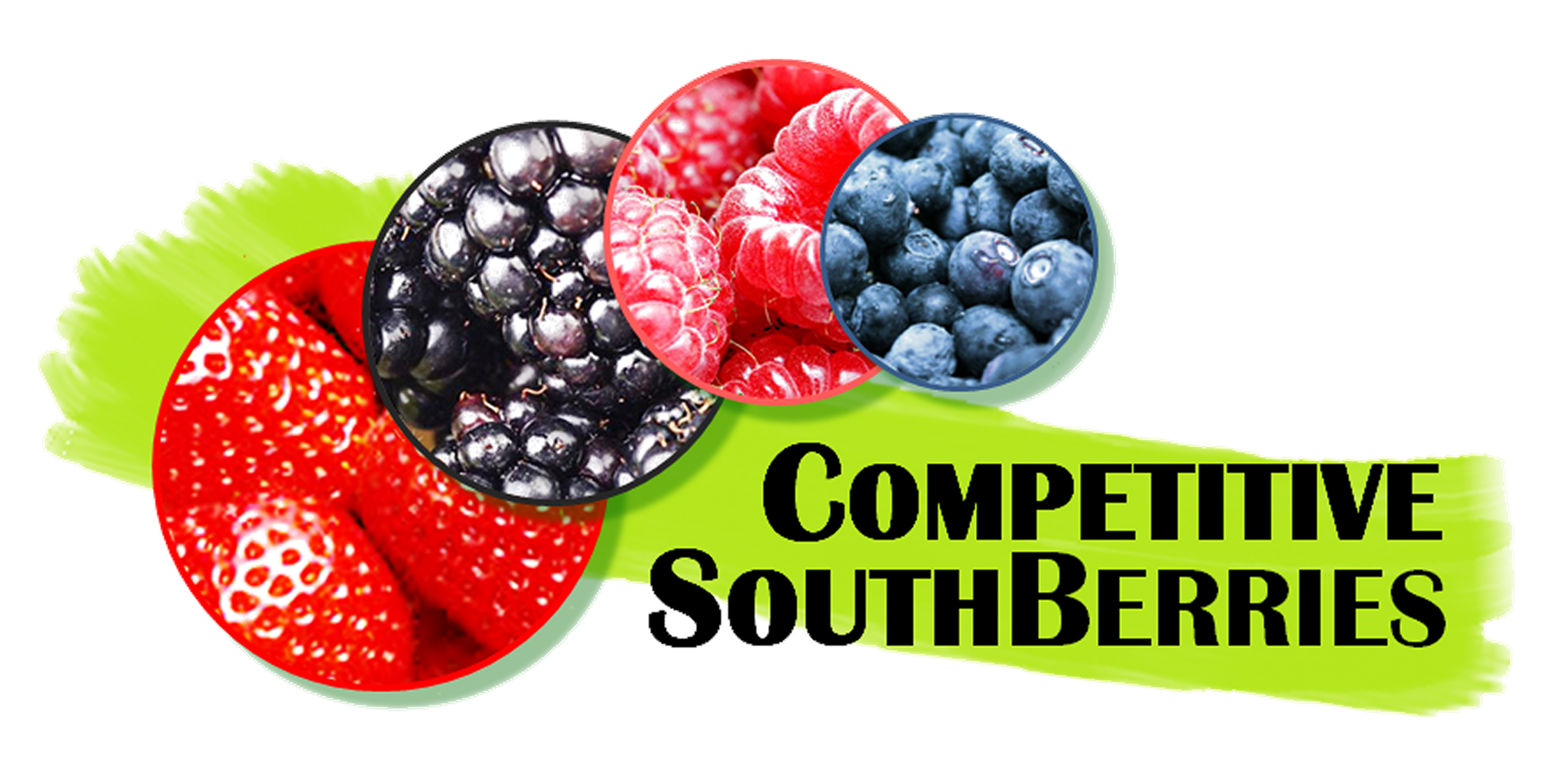 CompetitiveSouthBerries