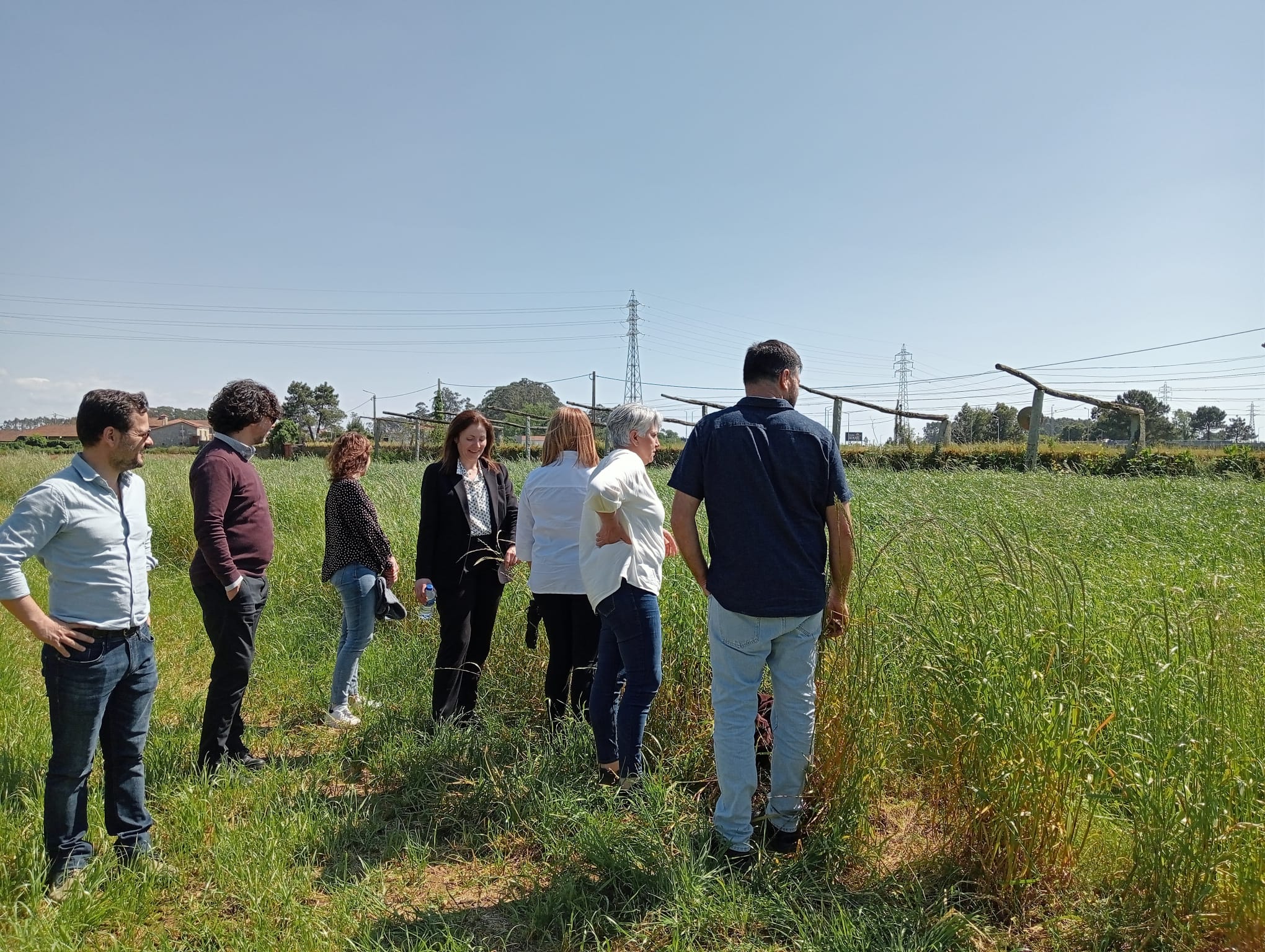 No campo experimental da FlorAlves foi observado por todos os participantes o resultado da aplicação do fertilizante produzido a partir de lamas e retraço de tomate no crescimento da cultura