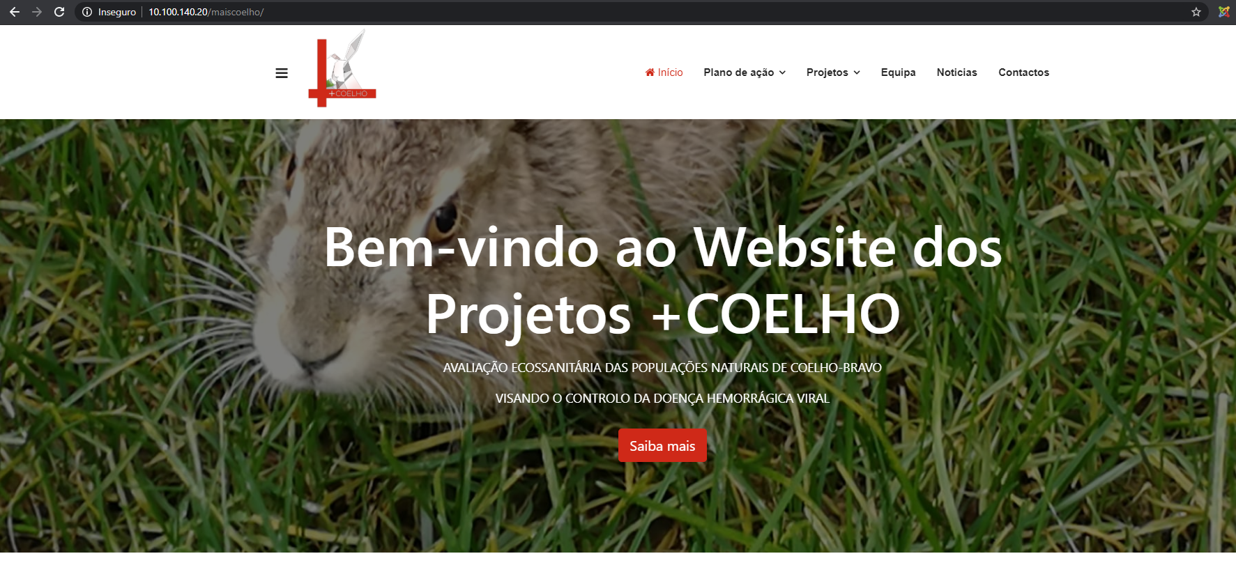Website +COELHO