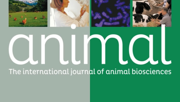 Artigo publicado na revista Animal que resulta do trabalho experimental no râmbito do projeto GEEBovMit