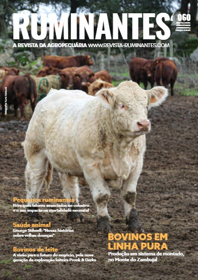 A suplementação da dieta de novilhos com Bromoil | publicação número 60 da revista Ruminantes