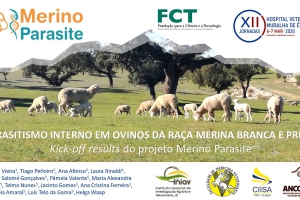 Merino Parasite project present at the "XII edition of the Hospital Veterinário Muralha de Évora"