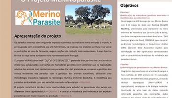 Apresentação de póster na XX Jornadas da Associação Portuguesa de Buiatria, Évora