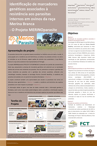 Poster "XX Conference of the Portuguese Association of Buiatrics, Évora"