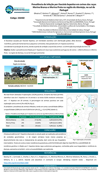 Poster - Prevalência da infeção por Fasciola hepatica em ovinos das raças Merina Branca e Merina Preta na região do Alentejo, no sul de Portugal