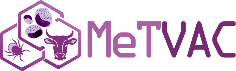 METVAC