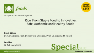 Special issues in Foods related with Rice