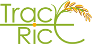 TRACE-RICE