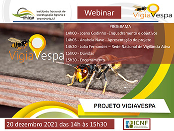 Webinar ICNF - Projeto VigiaVespa, 20 dezembro 2021