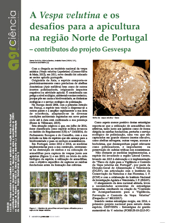 A Vespa velutina e os desafios para a apicultura na região Norte de Portugal – contributos do projeto Gesvespa